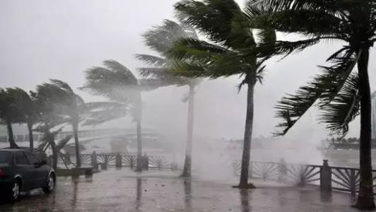 8月臺(tái)風(fēng)雨即將來，除濕機(jī)還得用起來