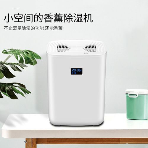 清明過后，潮氣噠噠，怎么除潮？