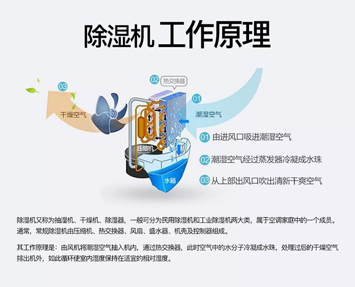 潮濕天氣狗最容易患上這種毛??！三個(gè)注意事項(xiàng)，鏟屎官一定要看看