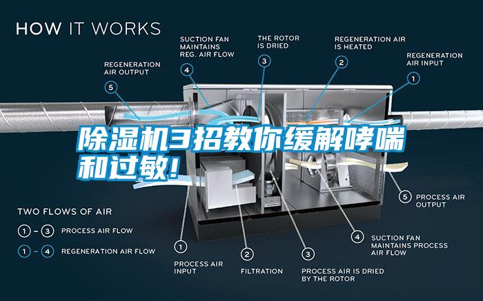 除濕機3招教你緩解哮喘和過敏!