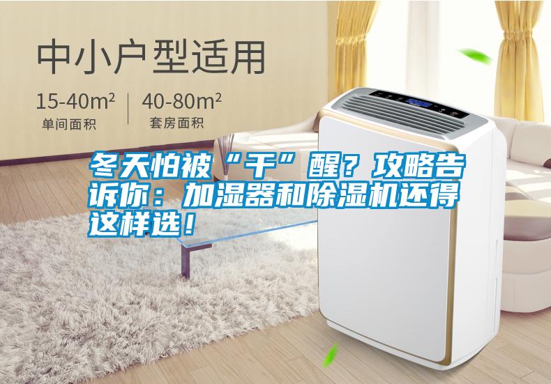 冬天怕被“干”醒？攻略告訴你：加濕器和除濕機還得這樣選！