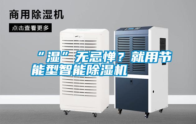 “濕”無忌憚？就用節(jié)能型智能除濕機(jī)