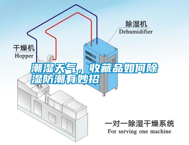 潮濕天氣，收藏品如何除濕防潮有妙招