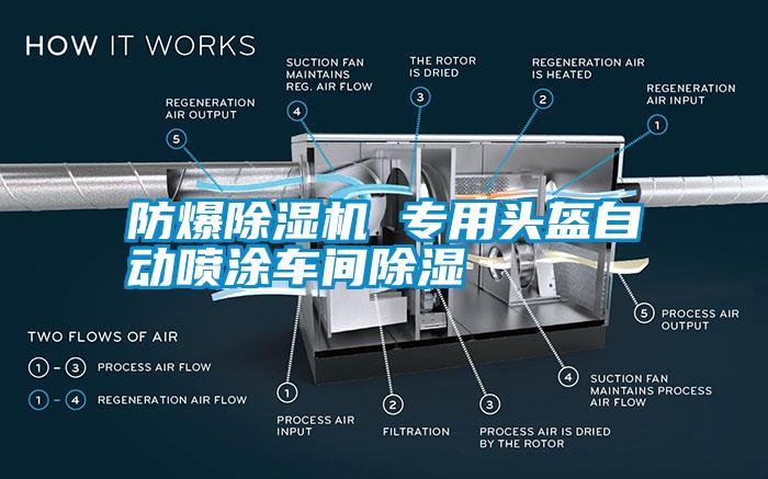 防爆除濕機(jī) 專用頭盔自動(dòng)噴涂車間除濕