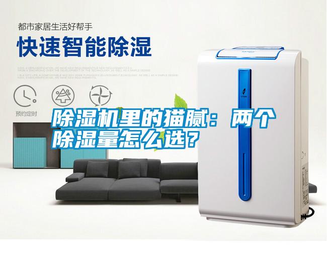 除濕機里的貓膩：兩個除濕量怎么選？