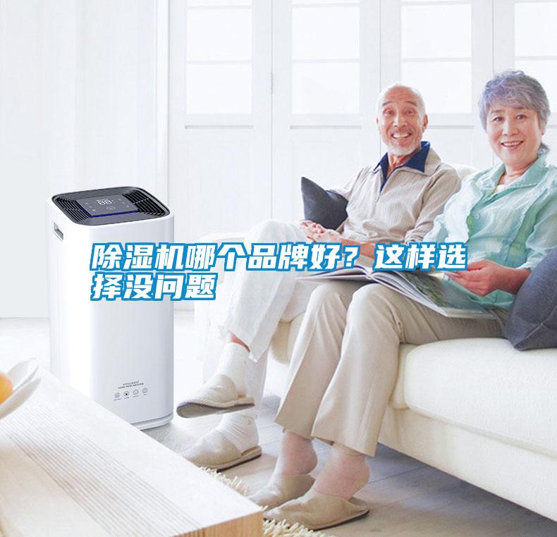 除濕機哪個品牌好？這樣選擇沒問題