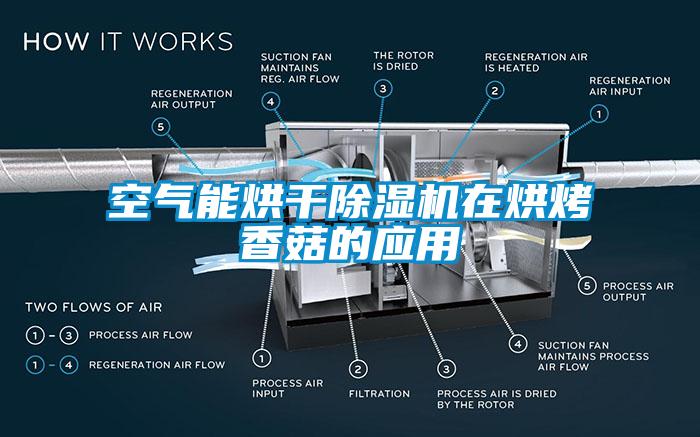 空氣能烘干除濕機在烘烤香菇的應(yīng)用