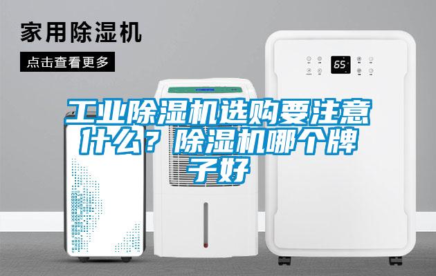 工業(yè)除濕機(jī)選購要注意什么？除濕機(jī)哪個牌子好