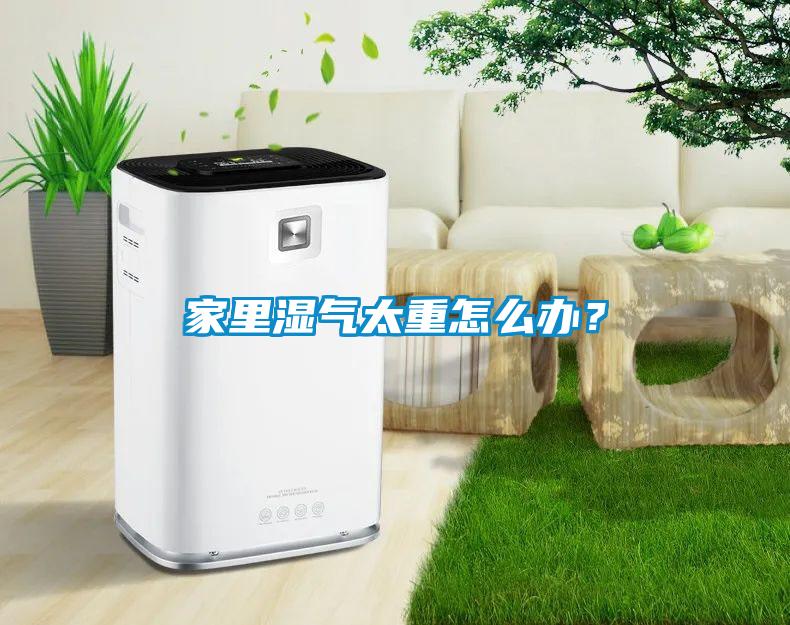 家里濕氣太重怎么辦？