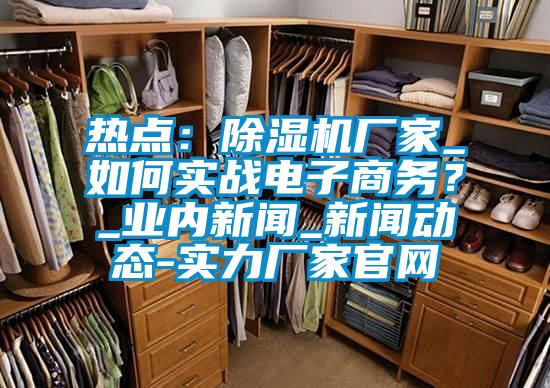 熱點：除濕機廠家_如何實戰(zhàn)電子商務？_業(yè)內新聞_新聞動態(tài)-實力廠家官網