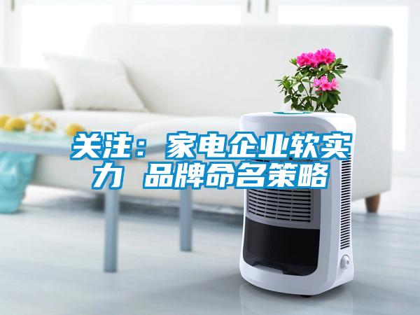 關注：家電企業(yè)軟實力 品牌命名策略