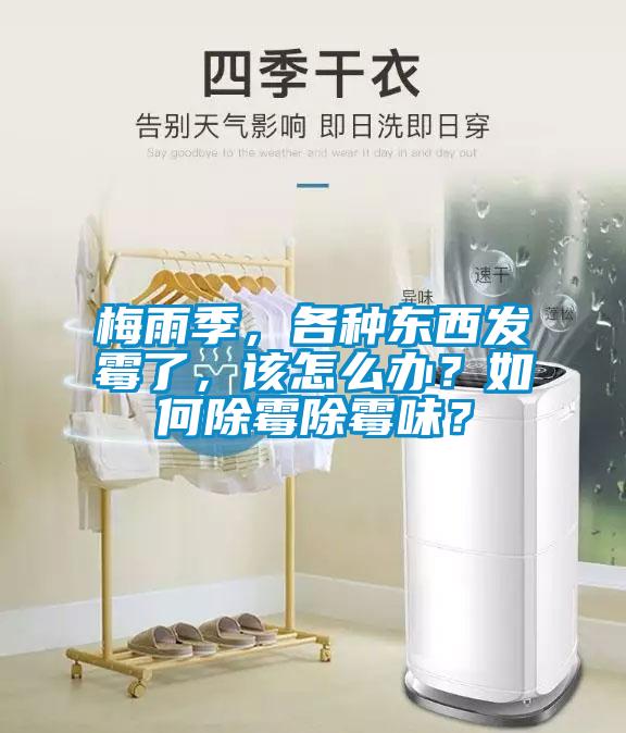 梅雨季，各種東西發(fā)霉了，該怎么辦？如何除霉除霉味？