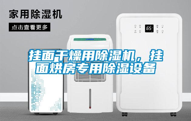 掛面干燥用除濕機(jī)，掛面烘房專用除濕設(shè)備