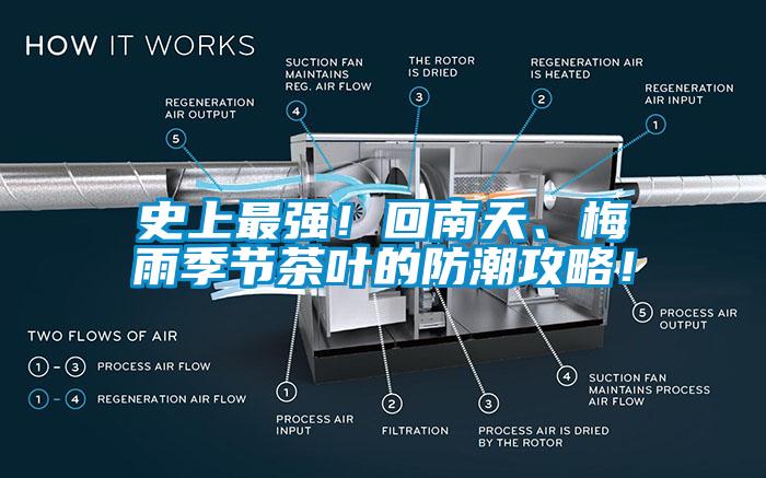 史上最強(qiáng)！回南天、梅雨季節(jié)茶葉的防潮攻略！