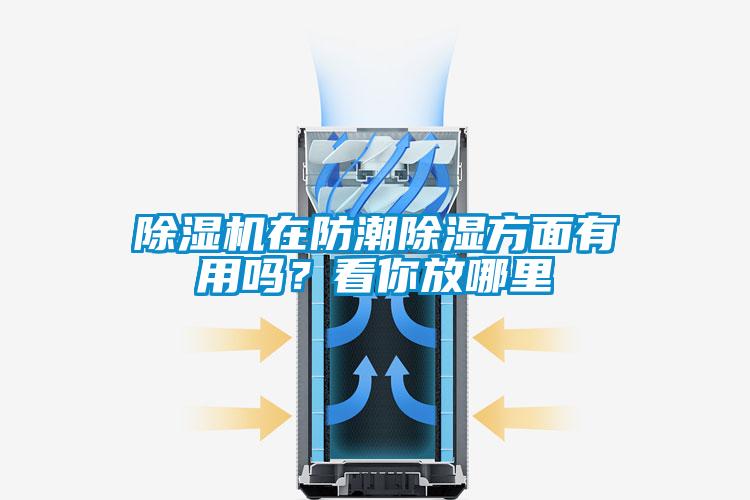 除濕機在防潮除濕方面有用嗎？看你放哪里