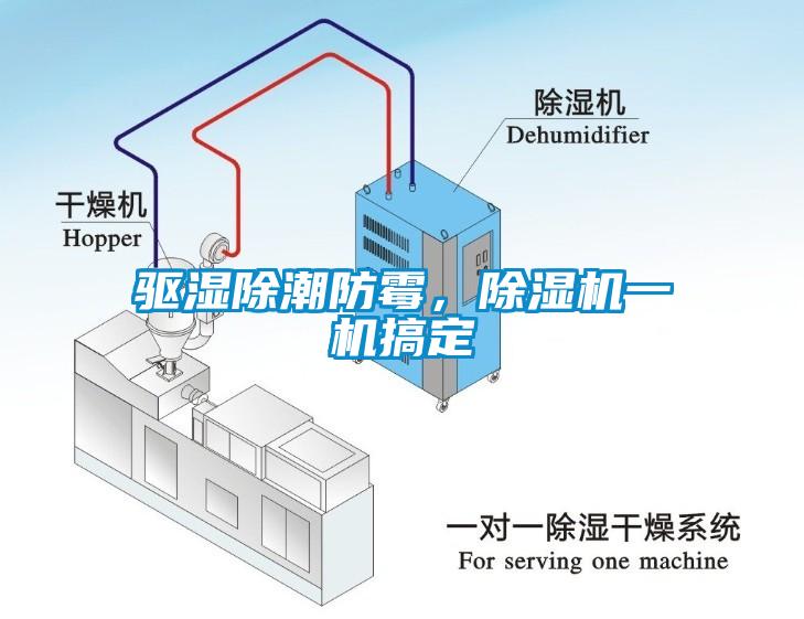 驅(qū)濕除潮防霉，除濕機(jī)一機(jī)搞定