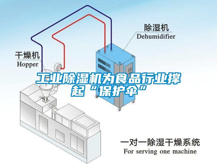 工業(yè)除濕機(jī)為食品行業(yè)撐起“保護(hù)傘”