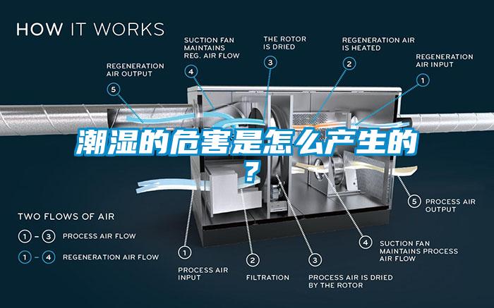 潮濕的危害是怎么產(chǎn)生的？