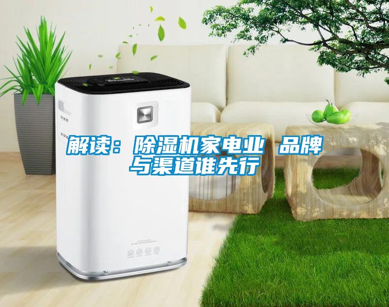 解讀：除濕機(jī)家電業(yè) 品牌與渠道誰先行