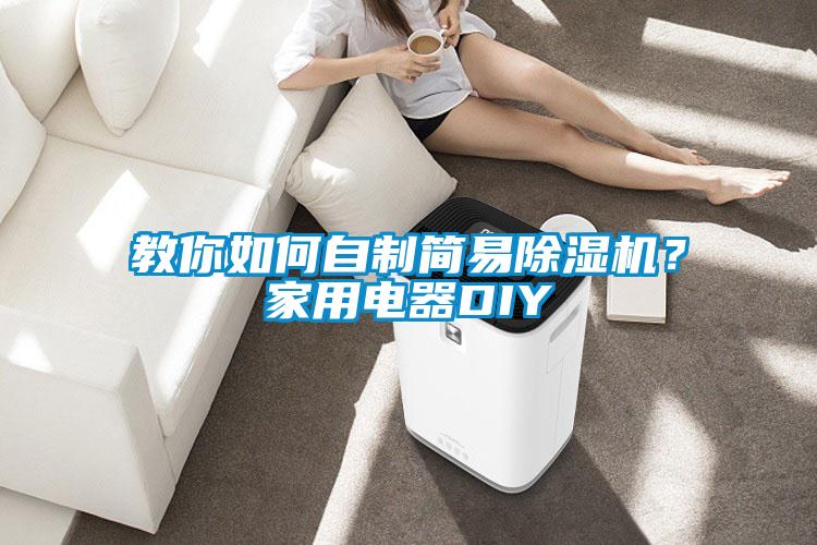 教你如何自制簡易除濕機？家用電器DIY