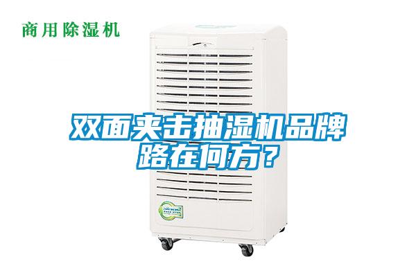 雙面夾擊抽濕機(jī)品牌路在何方？