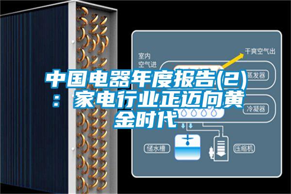 中國電器年度報告(2)：家電行業(yè)正邁向黃金時代