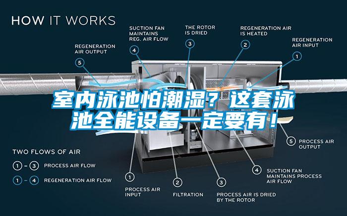 室內泳池怕潮濕？這套泳池全能設備一定要有！