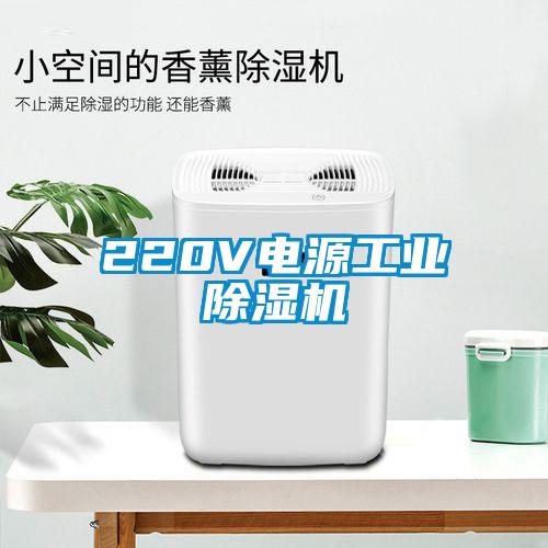 220V電源工業(yè)除濕機