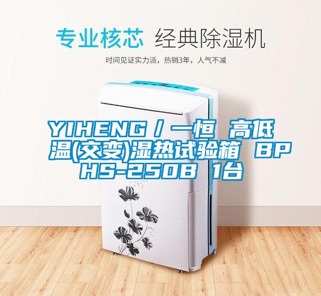 YIHENG／一恒 高低溫(交變)濕熱試驗(yàn)箱 BPHS-250B 1臺(tái)