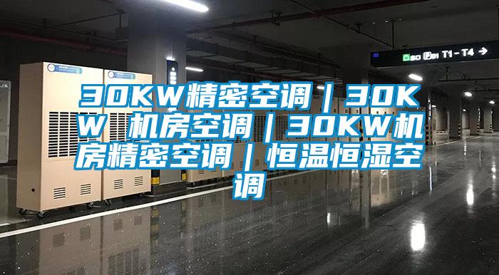 30KW精密空調｜30KW 機房空調｜30KW機房精密空調｜恒溫恒濕空調