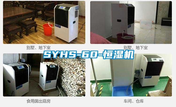 SYHS-60-恒濕機