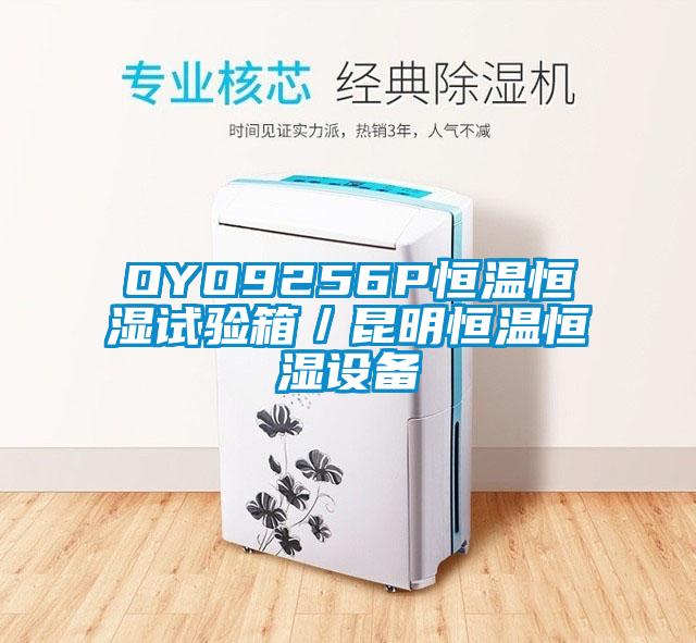 OYO9256P恒溫恒濕試驗(yàn)箱／昆明恒溫恒濕設(shè)備