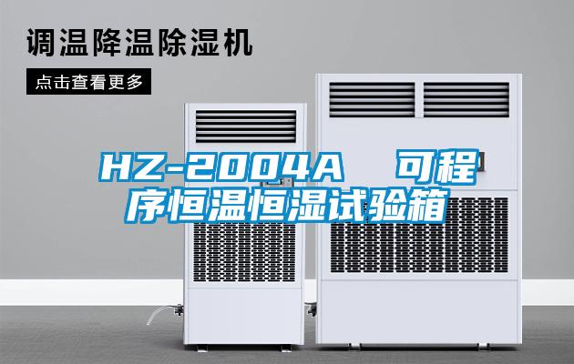 HZ-2004A  可程序恒溫恒濕試驗箱