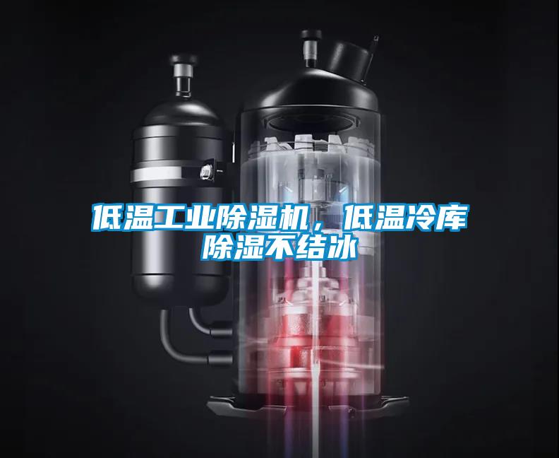 低溫工業(yè)除濕機，低溫冷庫除濕不結(jié)冰