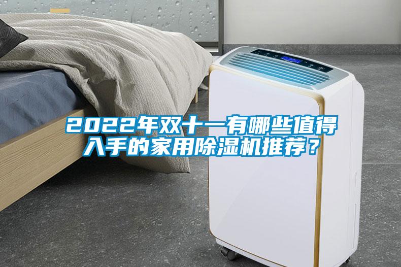 2022年雙十一有哪些值得入手的家用除濕機(jī)推薦？