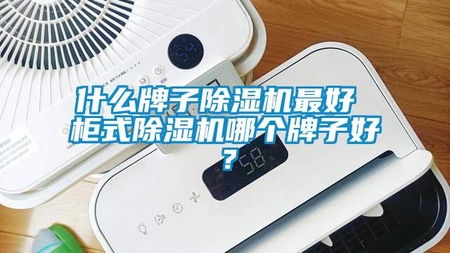 什么牌子除濕機(jī)最好 柜式除濕機(jī)哪個(gè)牌子好？