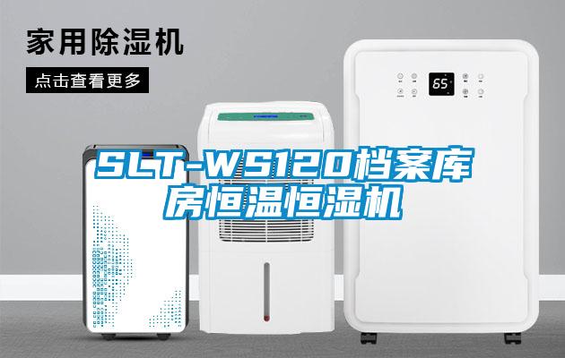 SLT-WS120檔案庫房恒溫恒濕機(jī)