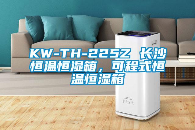 KW-TH-225Z 長沙恒溫恒濕箱，可程式恒溫恒濕箱