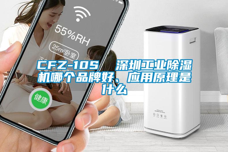 CFZ-10S  深圳工業(yè)除濕機(jī)哪個品牌好、應(yīng)用原理是什么