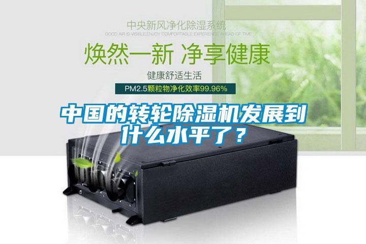 中國的轉輪除濕機發(fā)展到什么水平了？