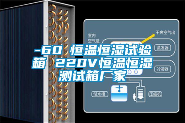 -60℃恒溫恒濕試驗(yàn)箱 220V恒溫恒濕測(cè)試箱廠家