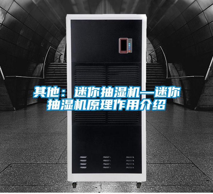 其他：迷你抽濕機—迷你抽濕機原理作用介紹