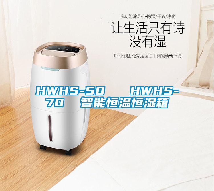 HWHS-50   HWHS-70  智能恒溫恒濕箱