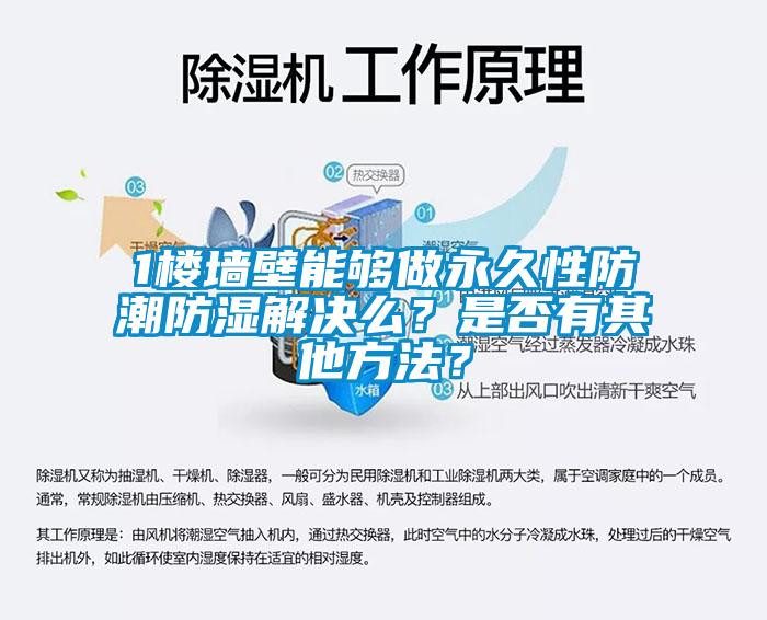 1樓墻壁能夠做永久性防潮防濕解決么？是否有其他方法？