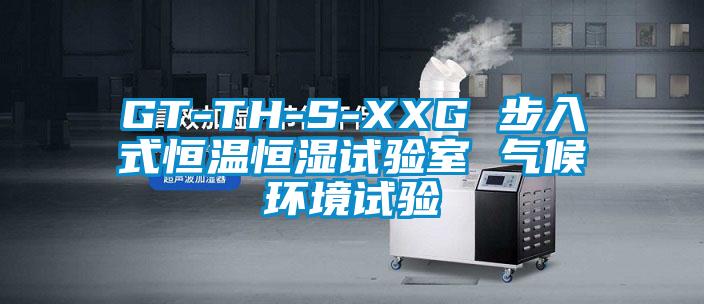 GT-TH-S-XXG 步入式恒溫恒濕試驗室 氣候環(huán)境試驗