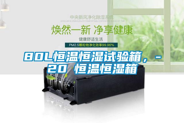 80L恒溫恒濕試驗箱，-20℃恒溫恒濕箱