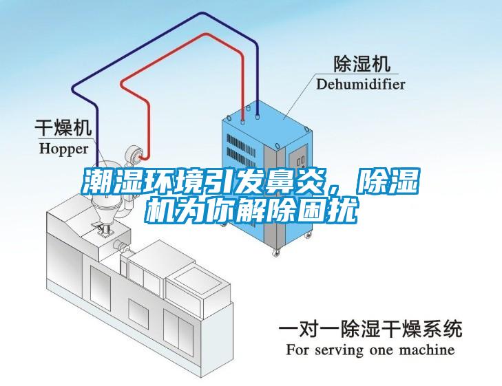 潮濕環(huán)境引發(fā)鼻炎，除濕機為你解除困擾