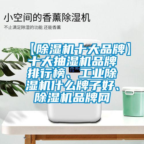 【除濕機十大品牌】十大抽濕機品牌排行榜、工業(yè)除濕機什么牌子好、除濕機品牌網(wǎng)