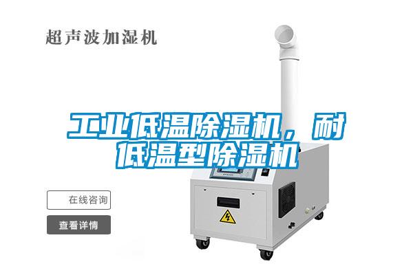 工業(yè)低溫除濕機(jī)，耐低溫型除濕機(jī)