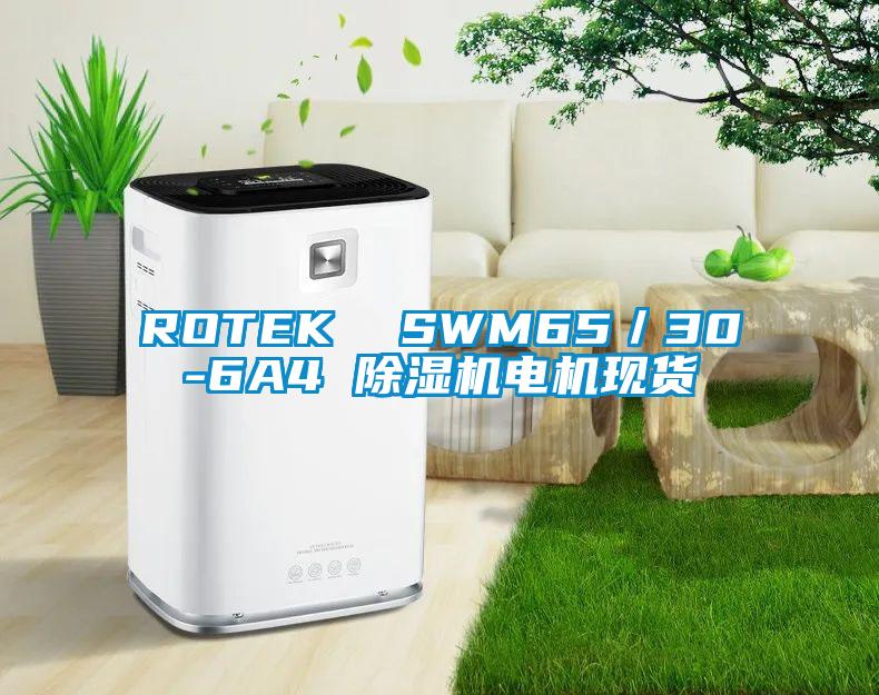 ROTEK  SWM65／30-6A4 除濕機(jī)電機(jī)現(xiàn)貨